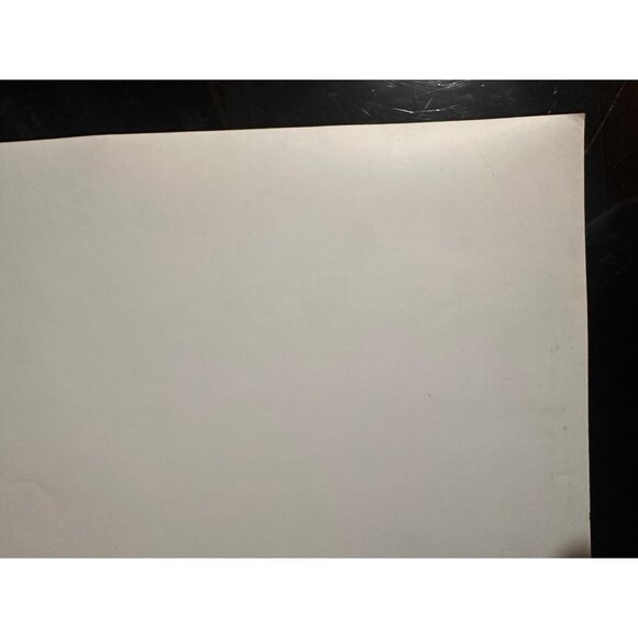 Vintage 1961 Susan Slade Movie Still Connie Stevens Troy Donahue Horse Photo - Picture 11 of 13